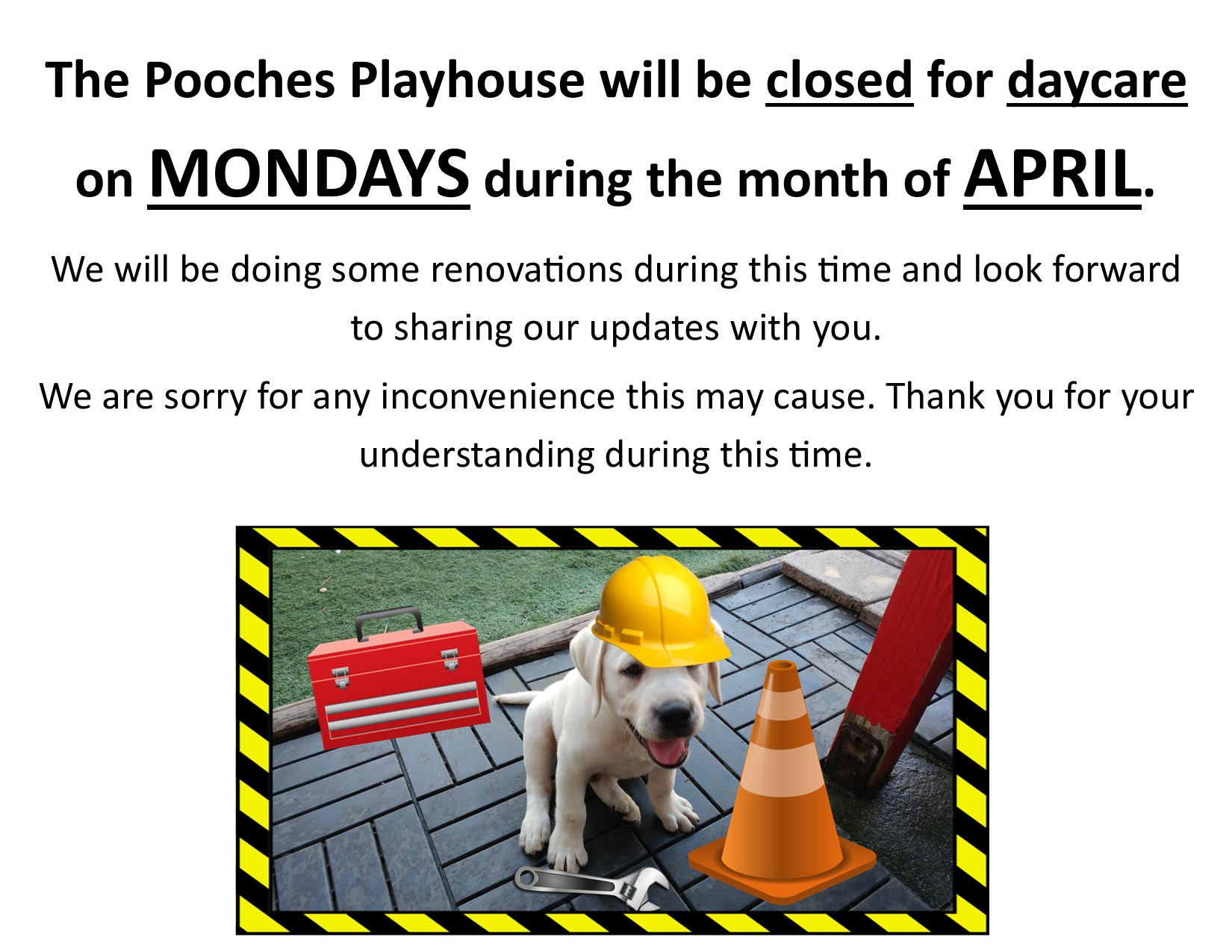 Pooches Playhouse Jacksonville Beach Dog Daycare Pooches Playhouse Jacksonville Beach Dog Daycare